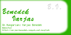 benedek varjas business card